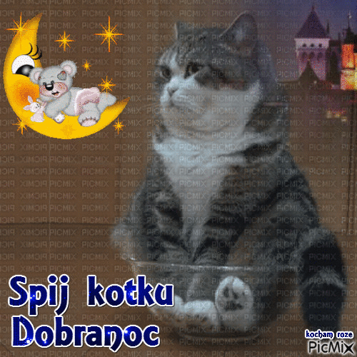 Śpij kotku dobranoc